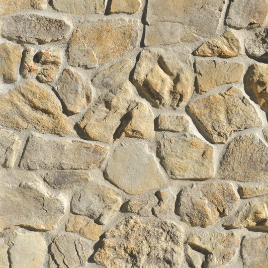 Coyote - Craft Foothill Rubble