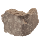 Ashwood - Natural Cut