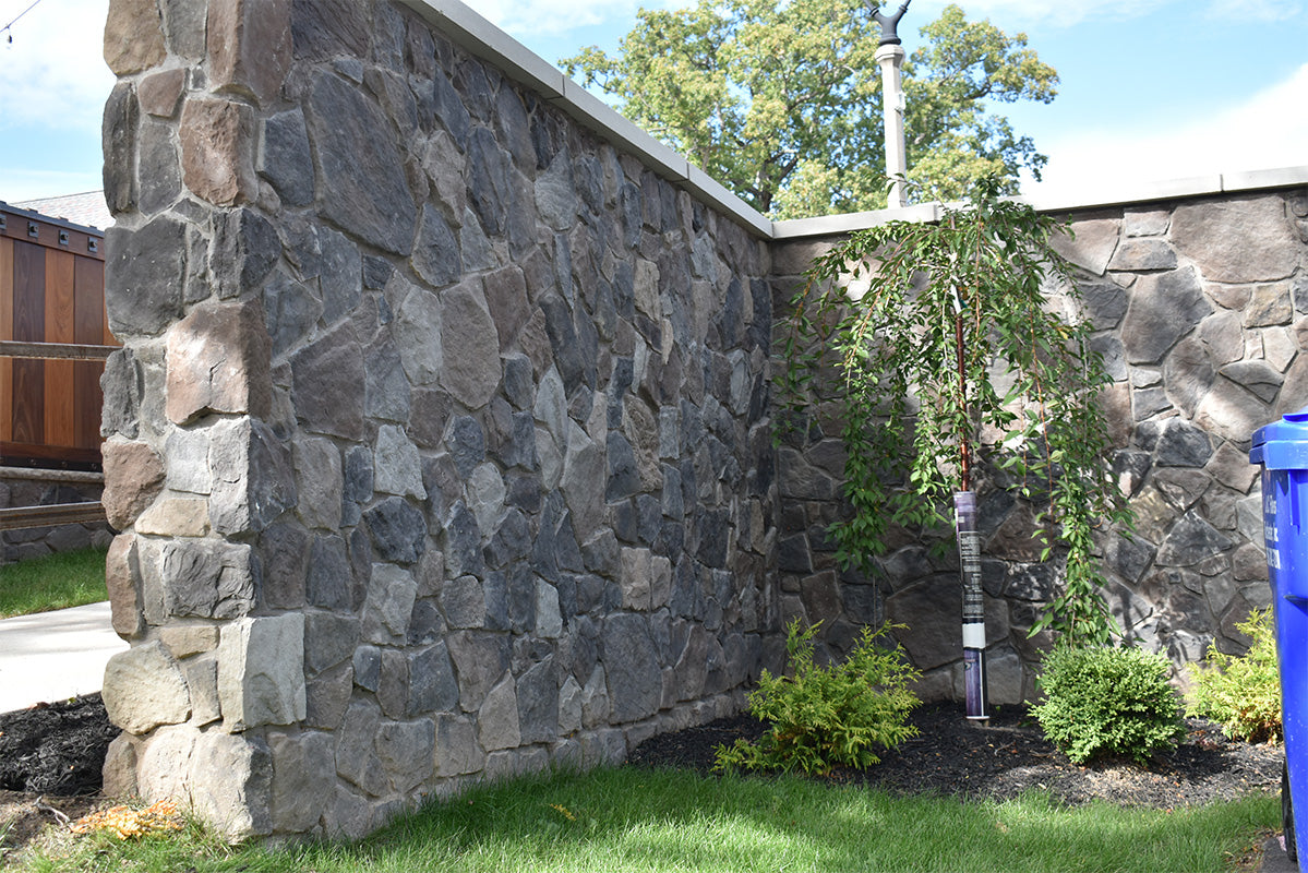 Stone wall with greenery and a blue trash can in the background
