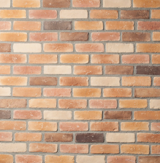 Boulder Creek Stone Chicago Used Pattern Brick product close-up