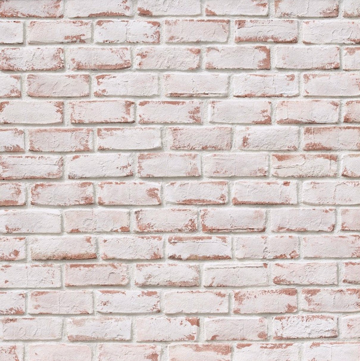 Ghosted - Craft Cannery Brick