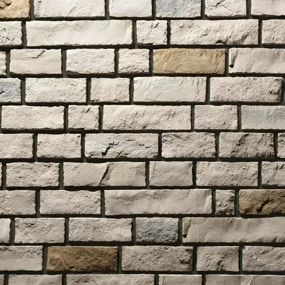 Provia - Beech Edge Cut