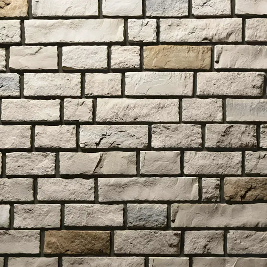 Provia - Beech Edge Cut