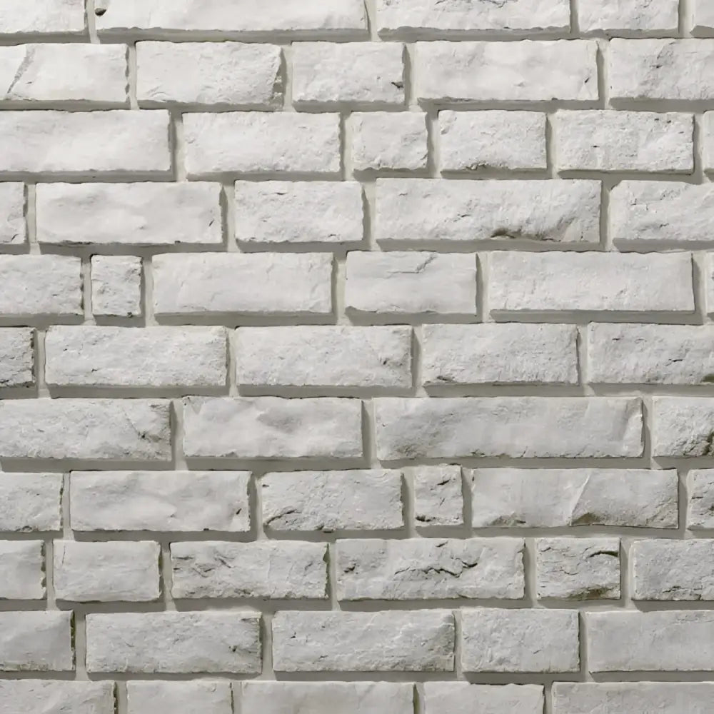 Provia - Polar Edge Cut