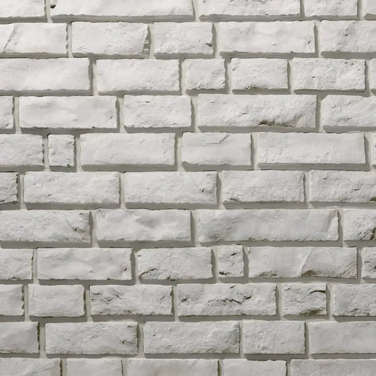 Provia - Polar Edge Cut